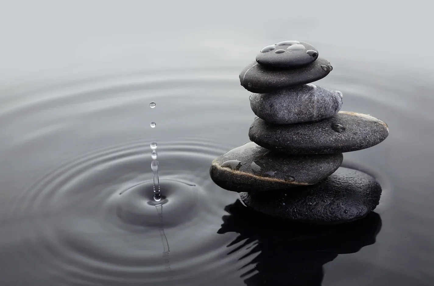 Wellness Programs